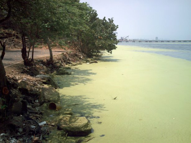 Foto, dass die Wasserverschmutzung in der Bucht von Maracaibo zeigt