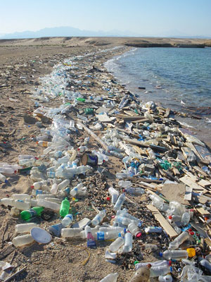 Foto von Plastikmüll an einem Strand