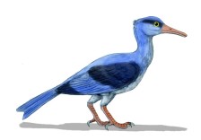 Ursprünglicher Vogel