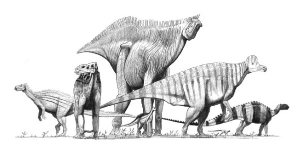 Verschiedene Ornithopoda, eine sehr vielfältige Gruppe der Dinosaurier