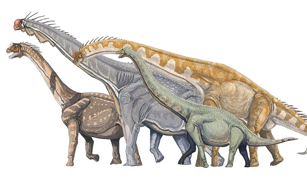 Verschiedene Sauropodomorpha, vierbeinige, pflanzenfressende Dinosaurier