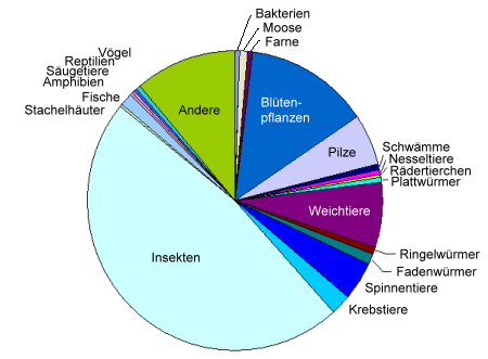 Grafische Darstellung der Verteilung der Artenvielfalt über die Gruppen von Lebewesen