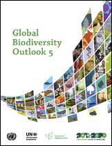 Titelseite des Biodiversity Outlooks 5