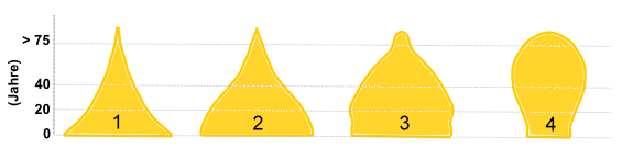 Darstellung typischer Bevölkerungspyramiden der vier Phasen der Bevölkerungsentwicklung