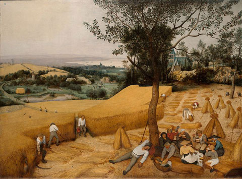 Abbildung des Bildes "Die Kornernte" von Pieter Brueghel dem Älteren