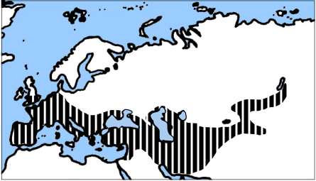 Verbreitungsgebiet des Neandertalers vor Ankunft von Homo sapiens in Eurasien