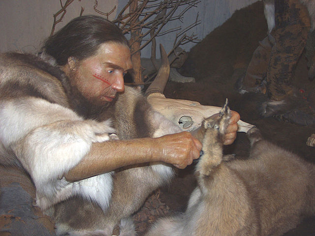 Rekonstruktion eines Neandertalers aus dem Neandertal-Museum