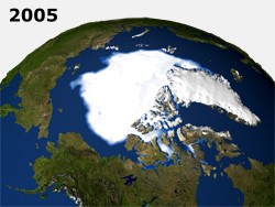Satellitenfoto, das die Ausdehnung des arktischen Meereises im Sommer 2005 zeigt